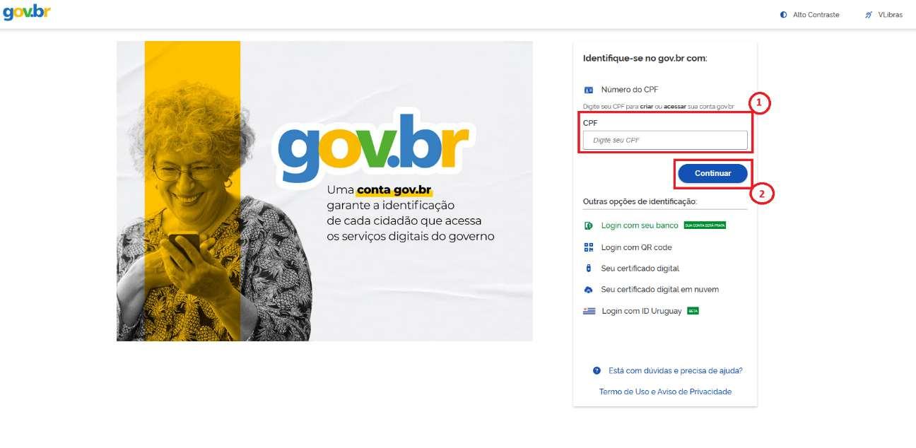 Passo 2: Fazer o login pelo Gov.br